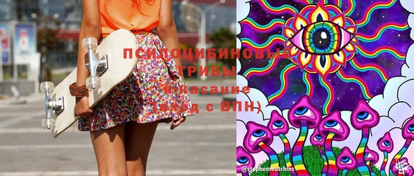 гидра Киреевск