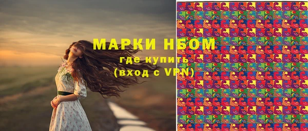 гидра Киреевск