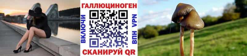 мега как зайти  Карпинск  Галлюциногенные грибы мицелий 